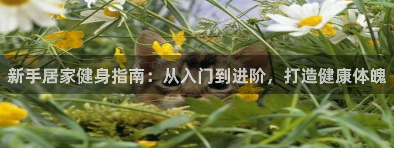 QY球友会体育官网